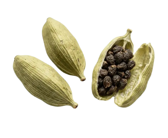 Bold Cardamom 8mm