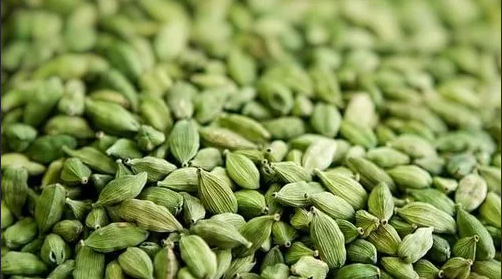 Cardamom Harvest Video